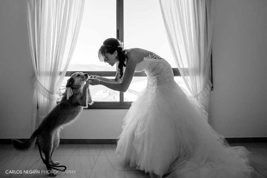 mejor fotógrafo de bodas Coruña, Carlos Negrín Photography, J+A