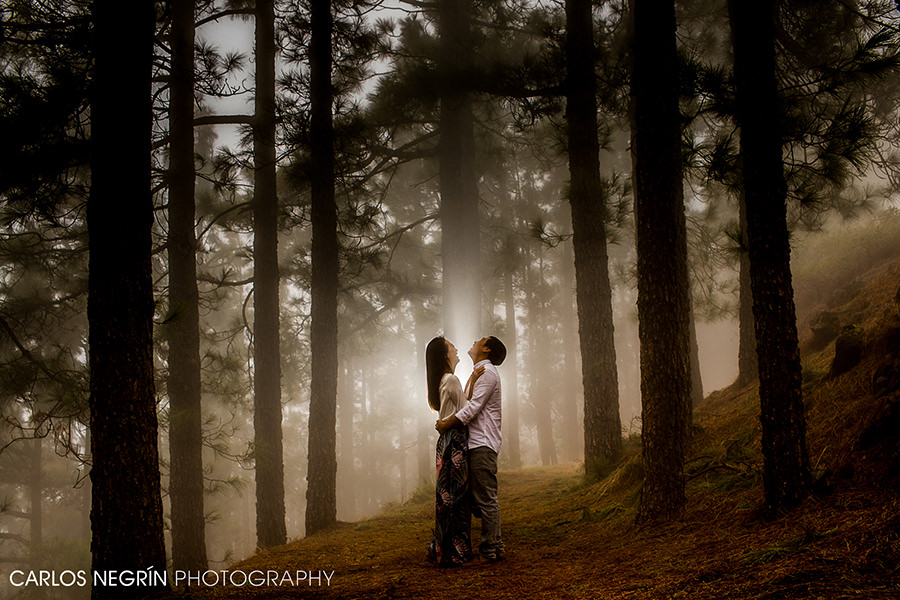 Wedding Engagement Inspiration